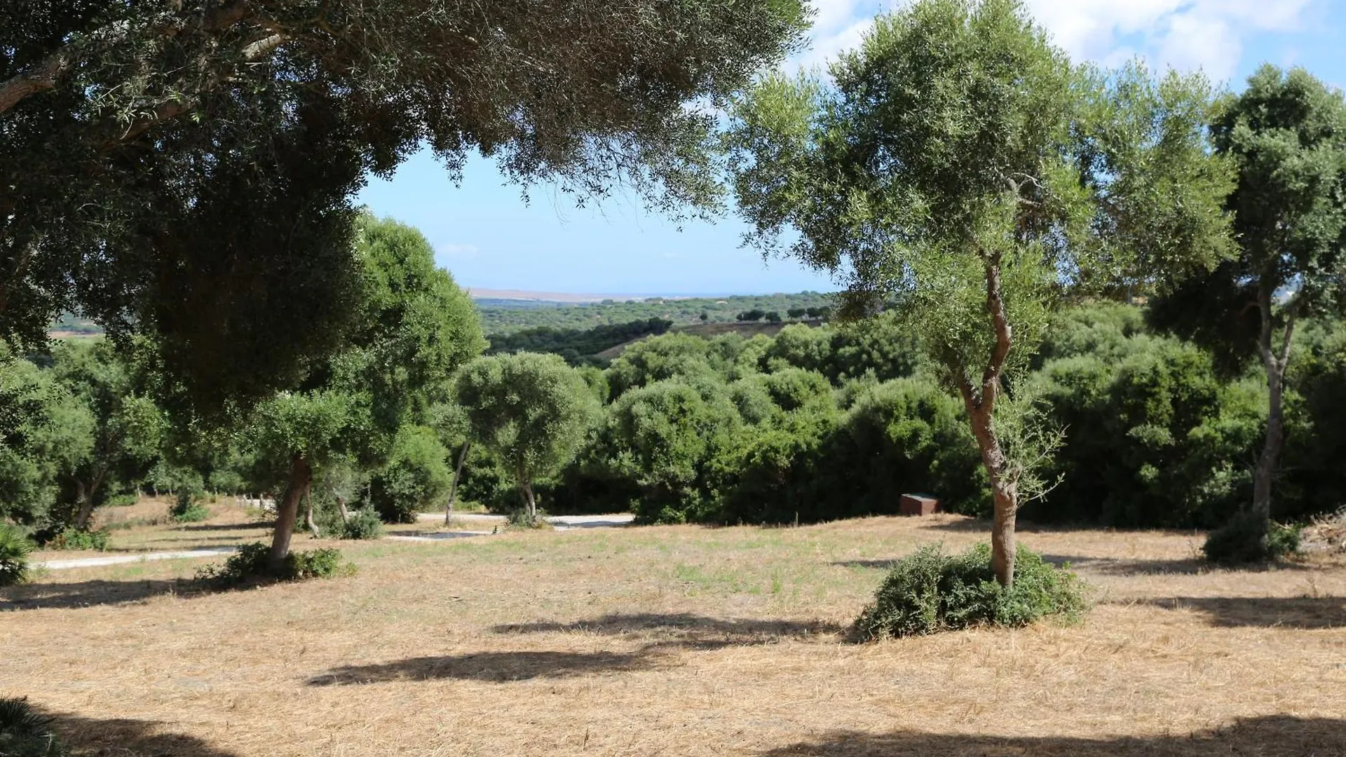 Idyllisches Steinhaus In Traumhafter Lage - Casa El Abejaruco Villa Vejer de la Frontera Spanien
